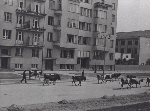Al. Niepodległości, ok. 1939 Al. Niepodległości, ok. 1939