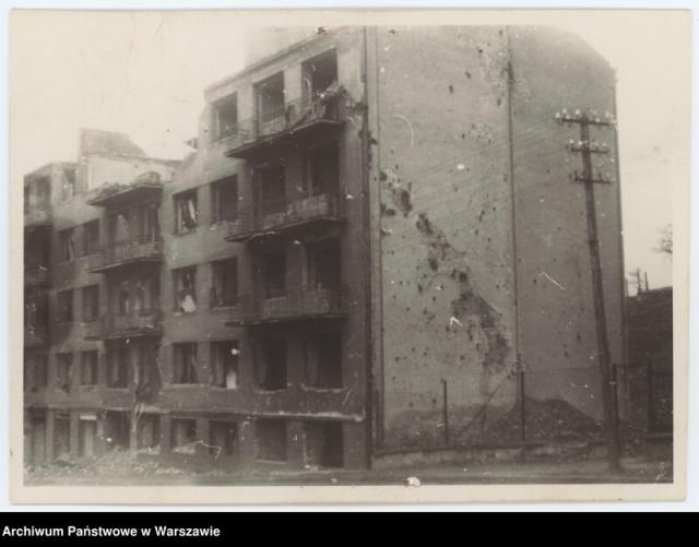 Dolna 39, 1946