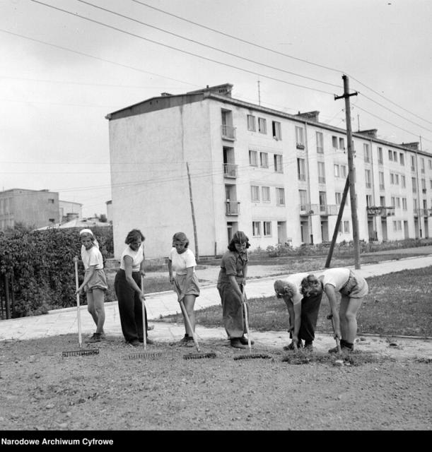 Łowicka 12 Łowicka 12, 1951
