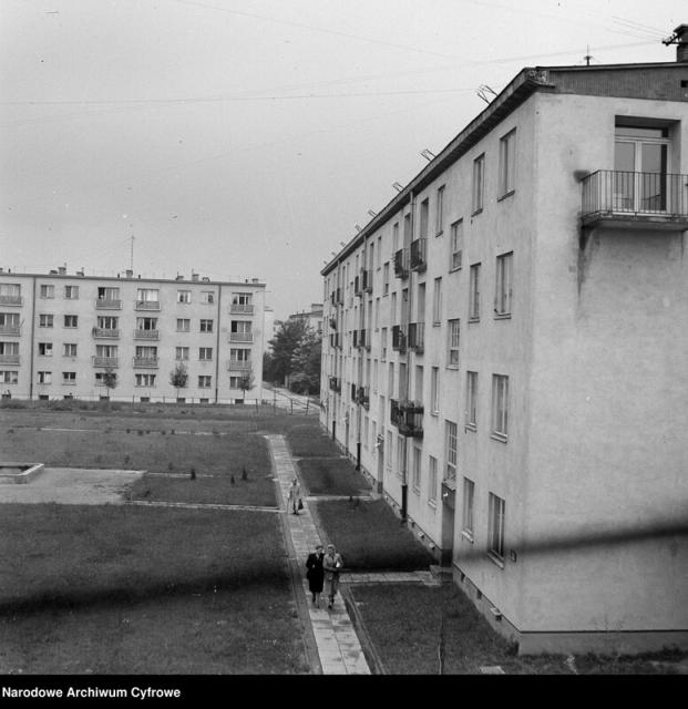 Różyckiego 1, 1951 Różyckiego 1, 1951