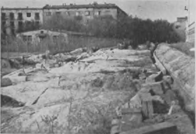 Wiśniowa, 1951