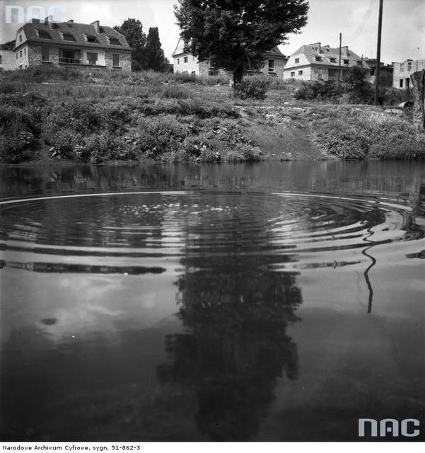 Staw Fabryczka, 1956