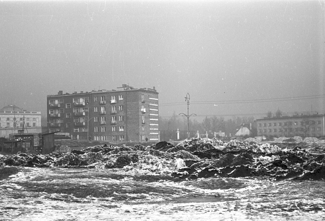 Spacerowa, 1959