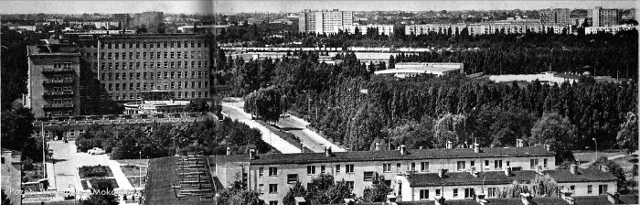 Wołoska, ok. 1968