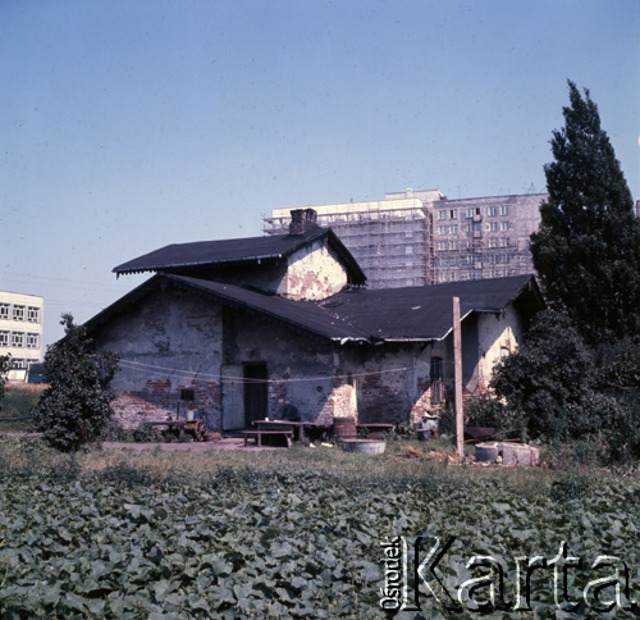 Pawiówka, 197?