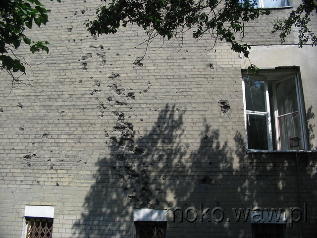 Akacjowa, 2005