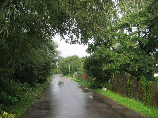 Bluszczańska, 2005 Bluszczańska, 2005