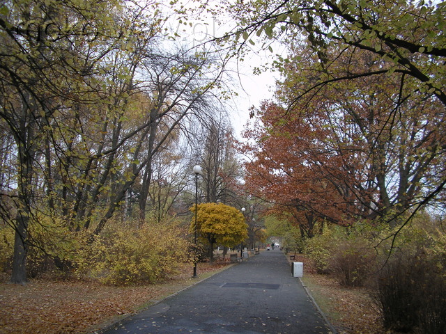 Park Rakowiec, 2005