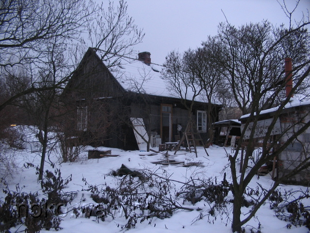Pomidorowa, 2006
