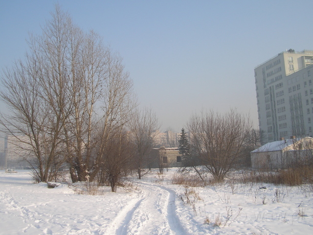 Pory, 2006
