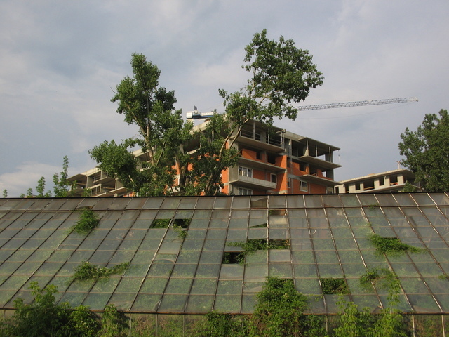 Woronicza, 2006