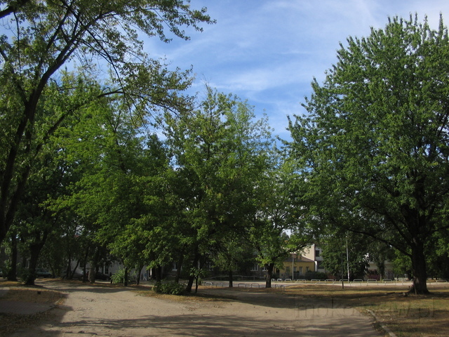 Okrężna, 2006