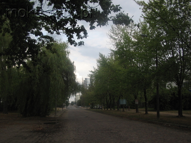 Konstruktorska, 2006