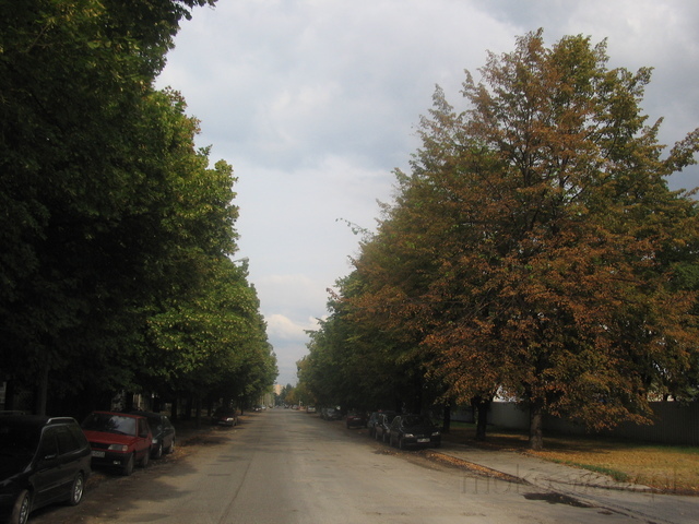 Konstruktorska, 2006
