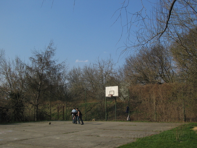 Dyżewskiego - plac do koszykówki Dyżewskiego - plac do koszykówki