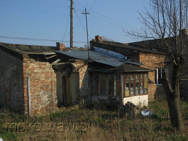 Daktylowa, 2007