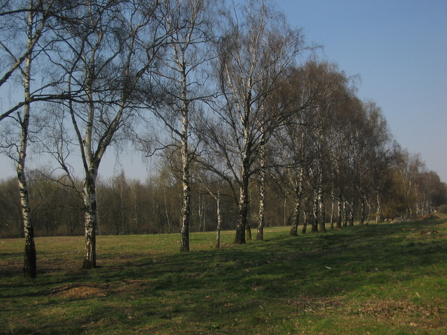 Działki Rakowiec