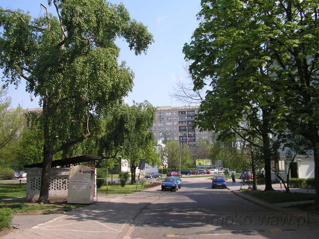 Niegocińska, 2007