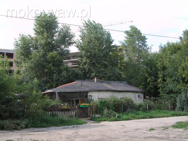 Pomidorowa, 2007