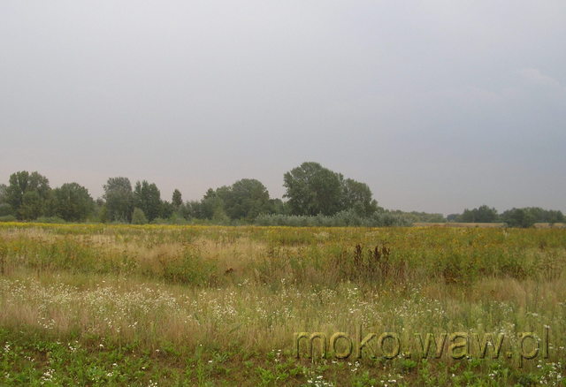 Wał Zawadowski, 2007