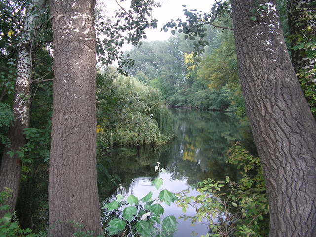 Fort Piłsudskiego, 2007 Fort Piłsudskiego, 2007