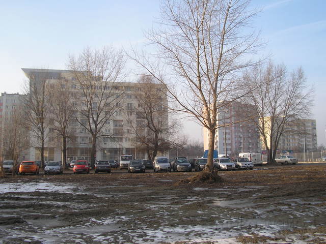 Narocz, 2008