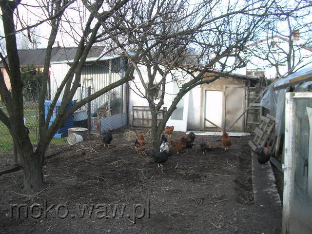 Pęcherska, 2008