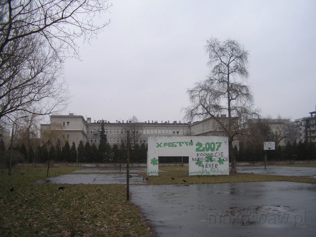 Różana boisko, 2008