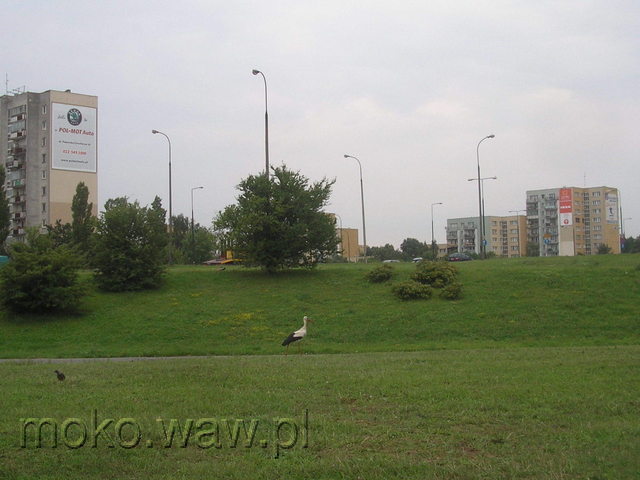 Dolina Służewiecka, 2008 Dolina Służewiecka, 2008