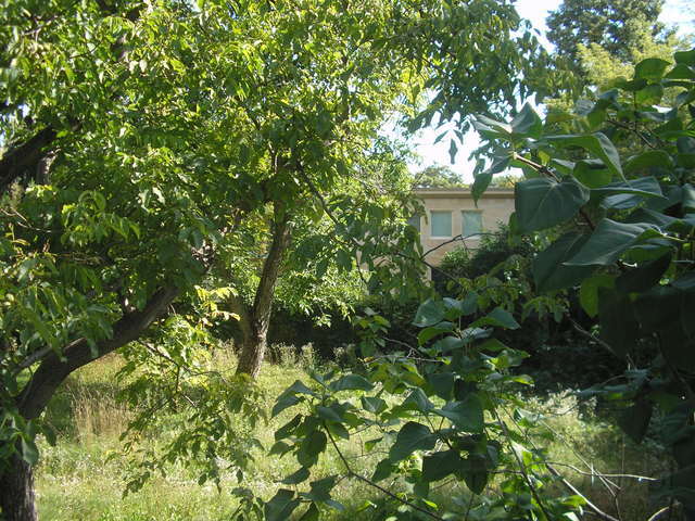 Chocimska, 2008