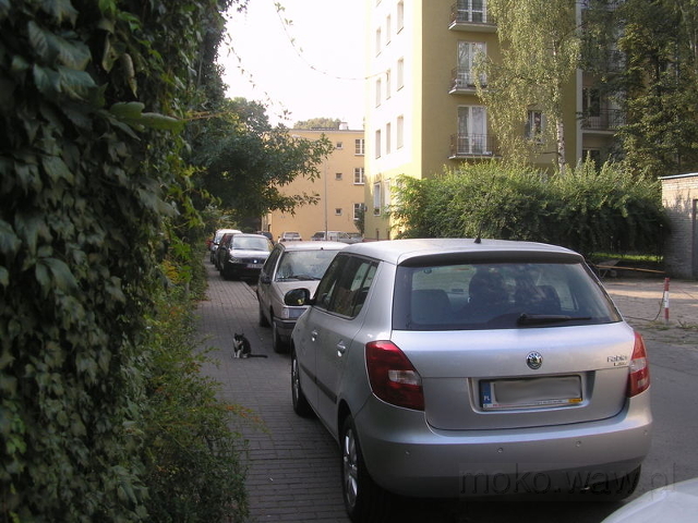 ulica Wrotkowa, 2008