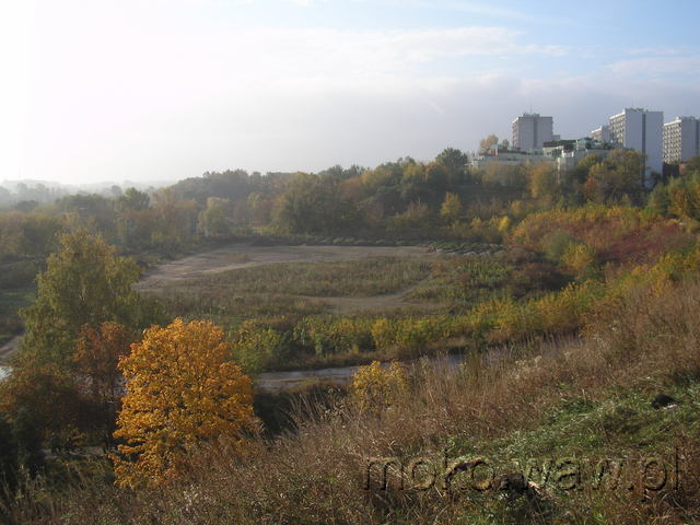 Warszawianka, 2008