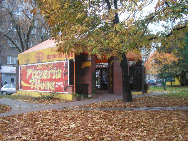 Skwer Broniewskiego-Orszy, 2008
