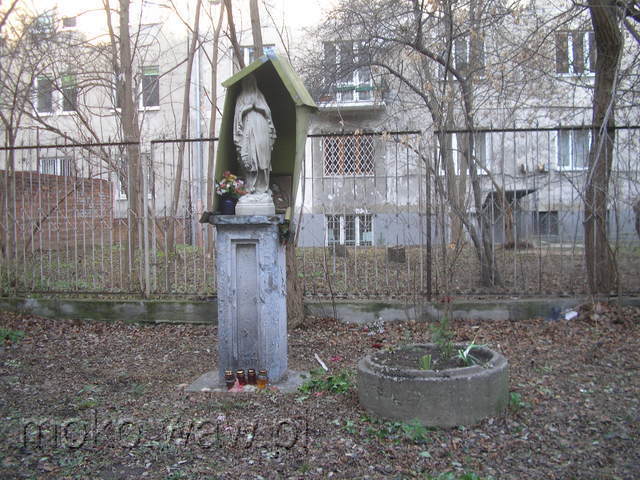 Olesińska, 2008