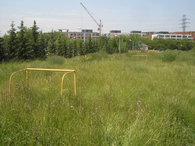 Patkowskiego, 2009 Patkowskiego, 2009