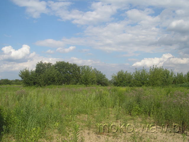 Batalionu AK Jeleń, 2009