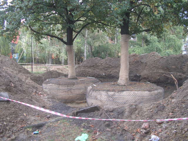 Różana, 2009
