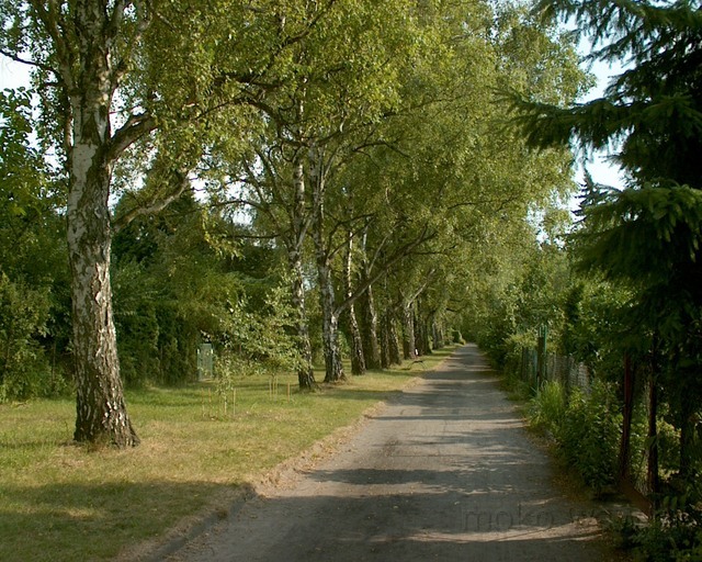 Al. Brzozowa, Działki Rakowiec Al. Brzozowa, Działki Rakowiec