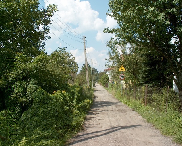 Figowa, 2010