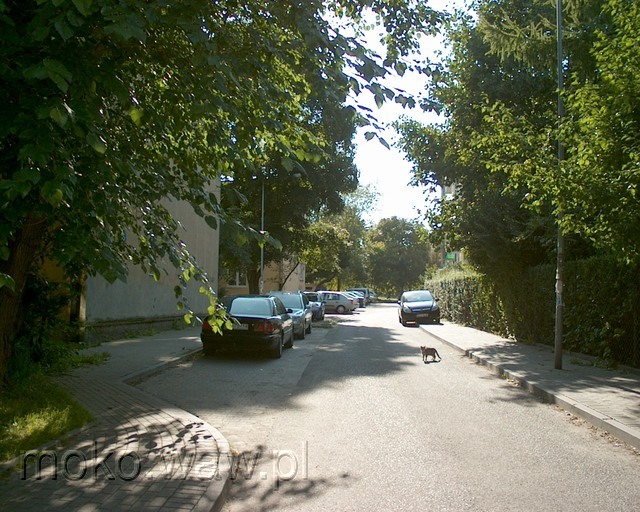 Balladyny, 2010