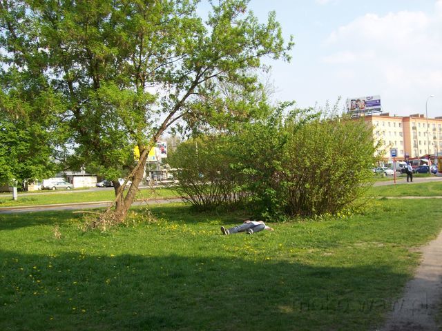 Wołoska, 2011
