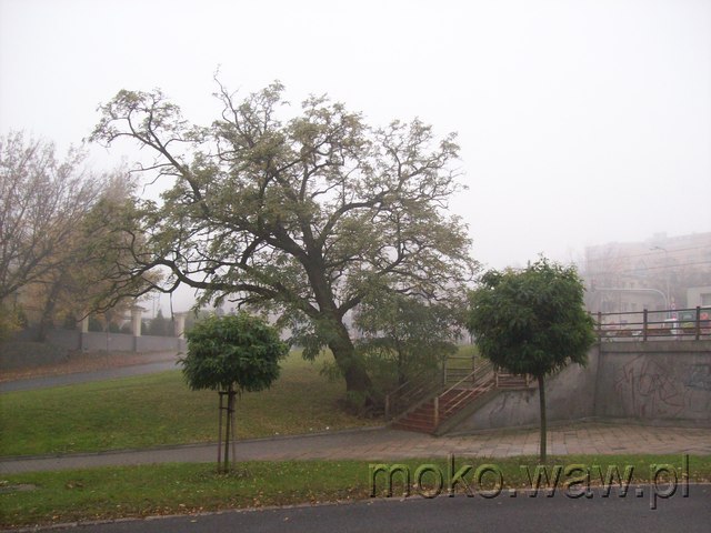 Dolna, 2012