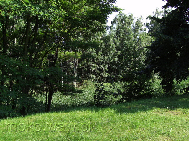 Fort Czerniaków, 2013