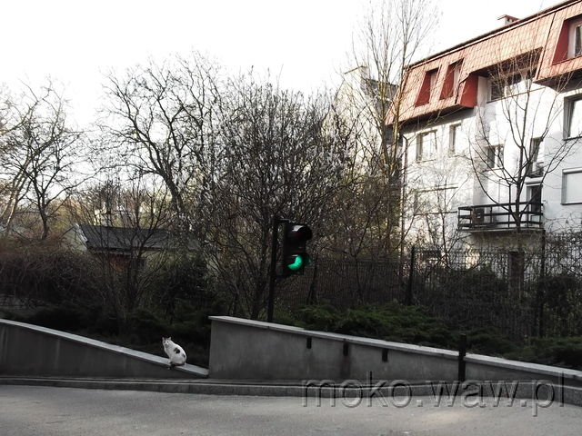 Boryszewska, 2014 Boryszewska, 2014