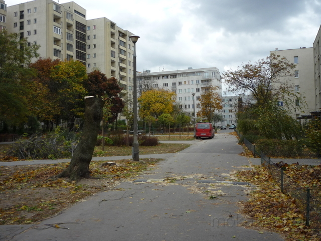 Jaszowiecka, 2014
