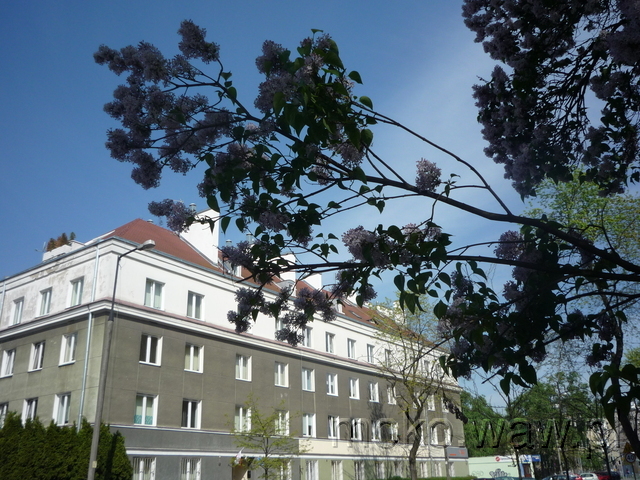Kazimierzowska, 2015