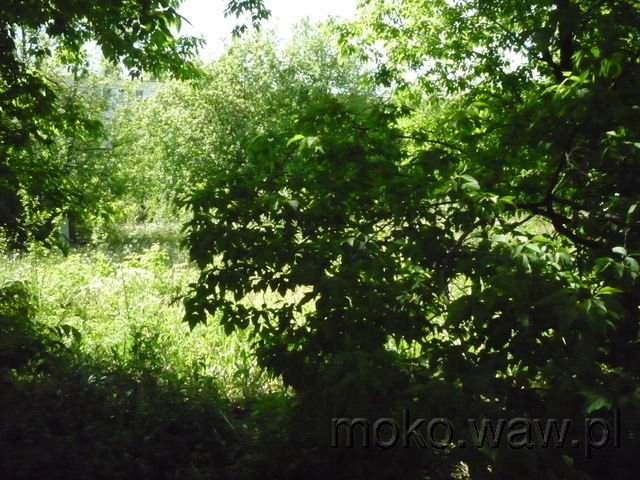 Dolna, 2015