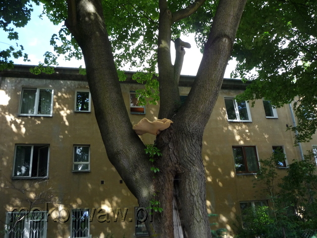 Balladyny, 2015