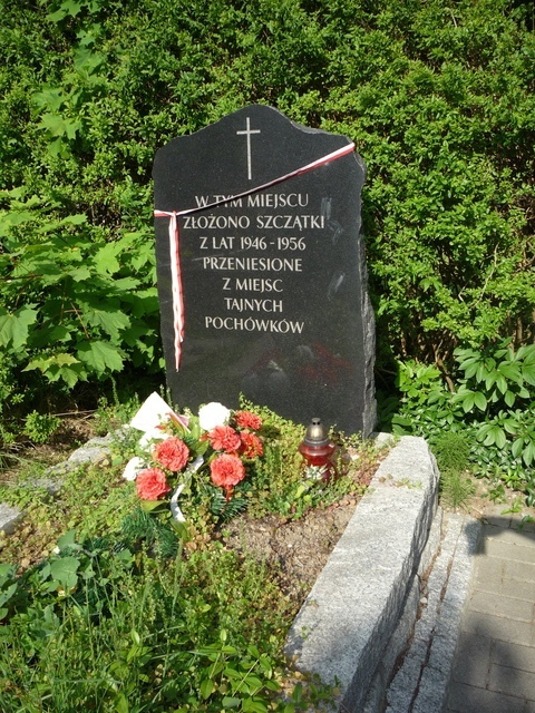 Cm. Wałbrzyska, 2015