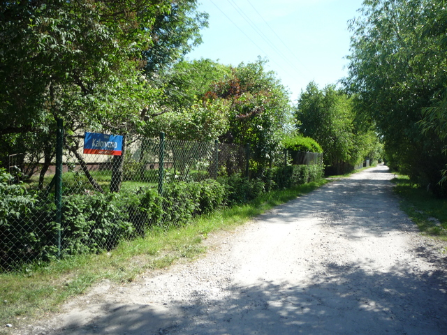 Kaloryczna, 2015